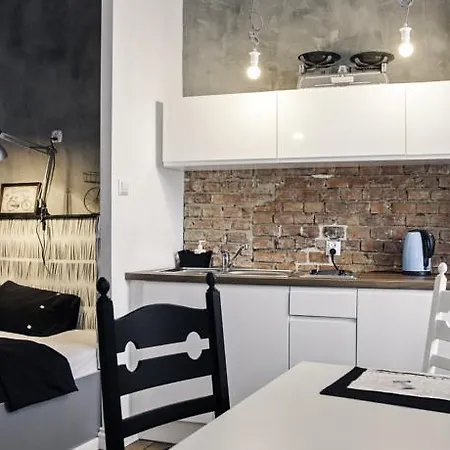 公寓式酒店 Loft - Centrum - Bezplatny Parking 厄尔科