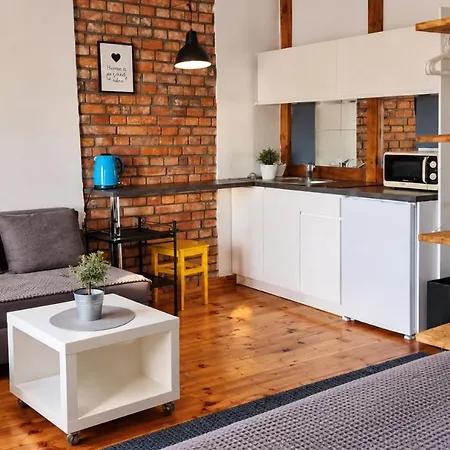 Loft - Centrum - Bezplatny Parking 厄尔科